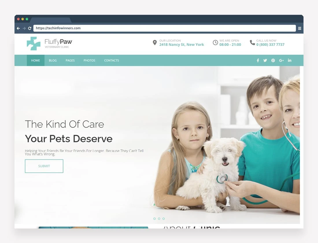 FluffyPaw-Pet-Care-WordPress-Theme