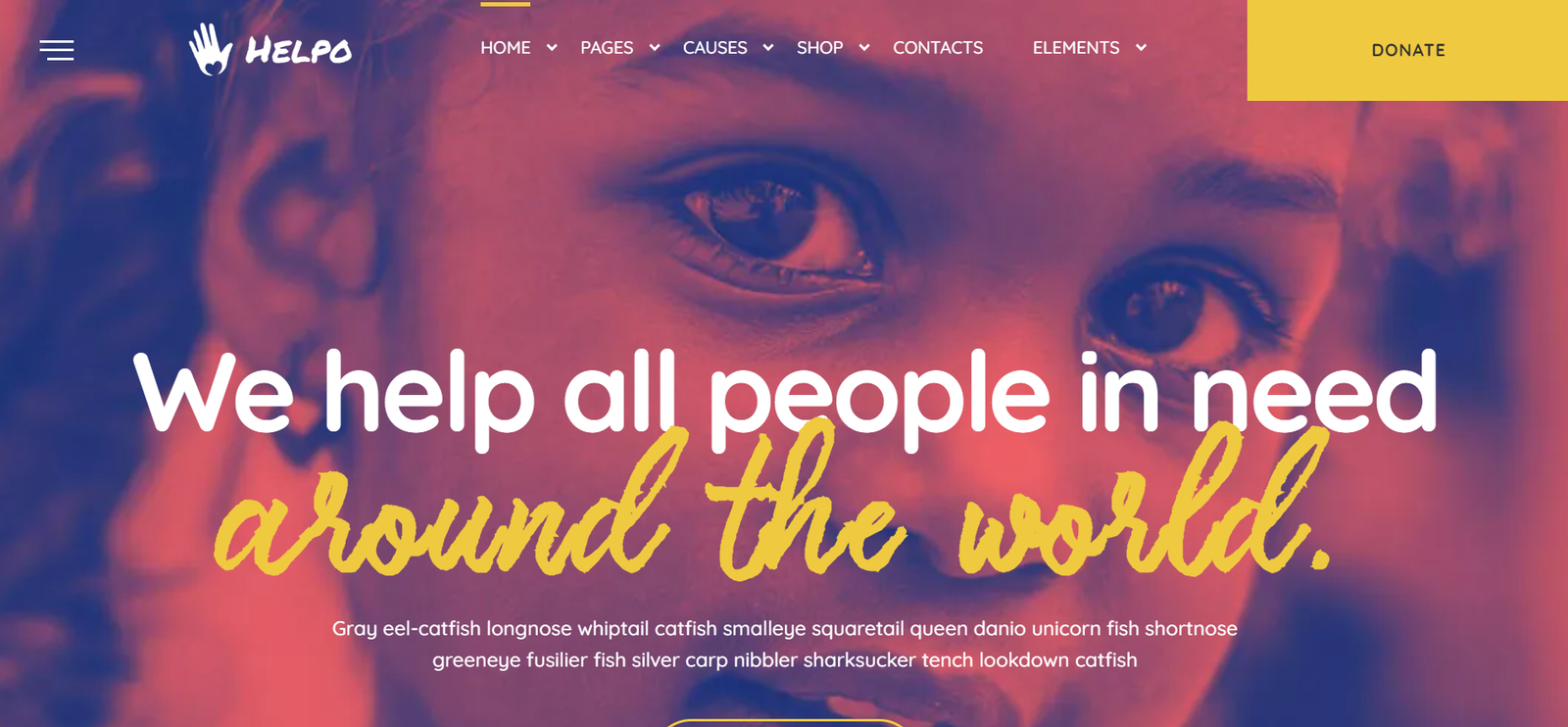 Helpo Charity WordPress themes