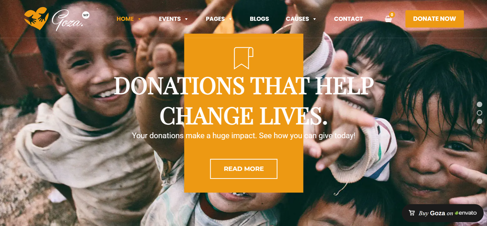 Ngo Goza Charity WordPress themes