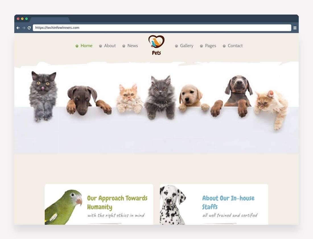 pet care wordpress theme