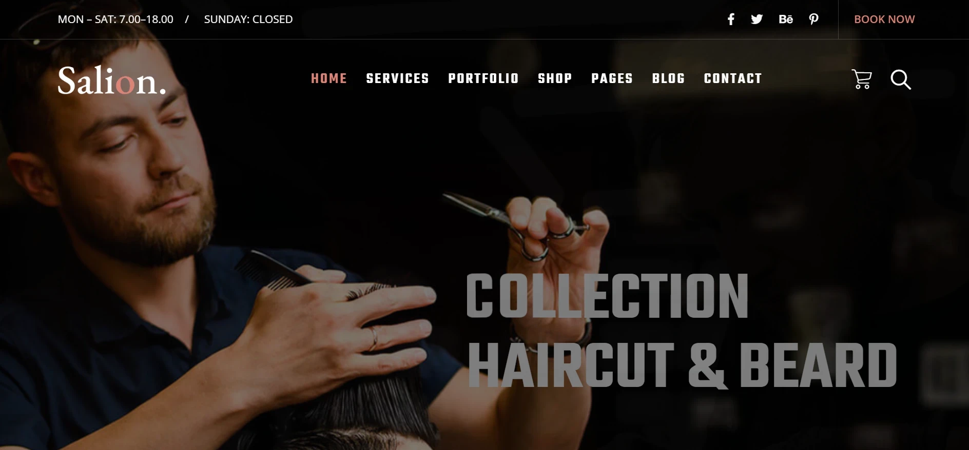 Salion-Hair-Salon