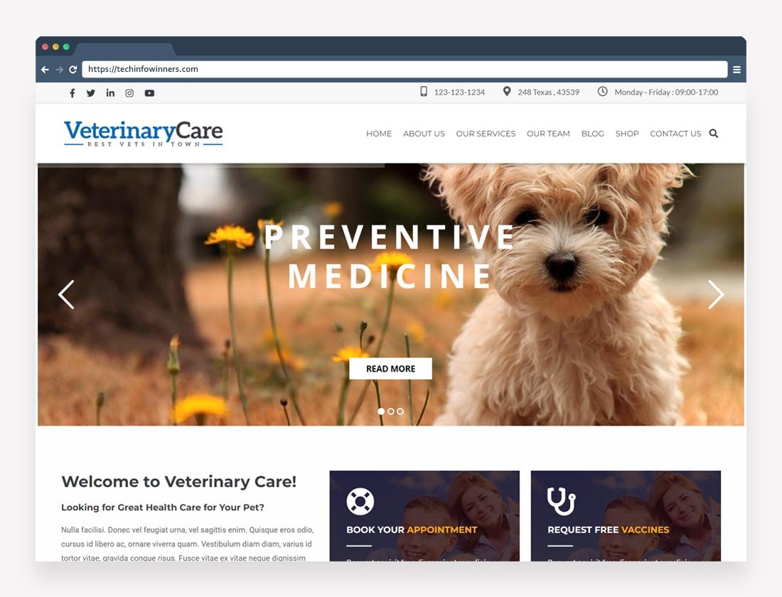 Veterinary-care-Pet-Care-WordPress-Theme