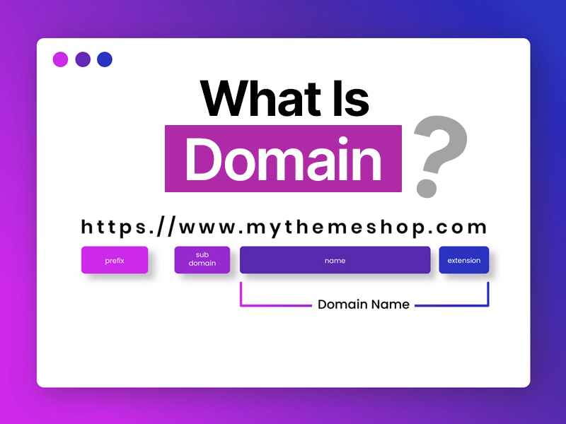 What Is Website Domain? A simple Explanation with Examples